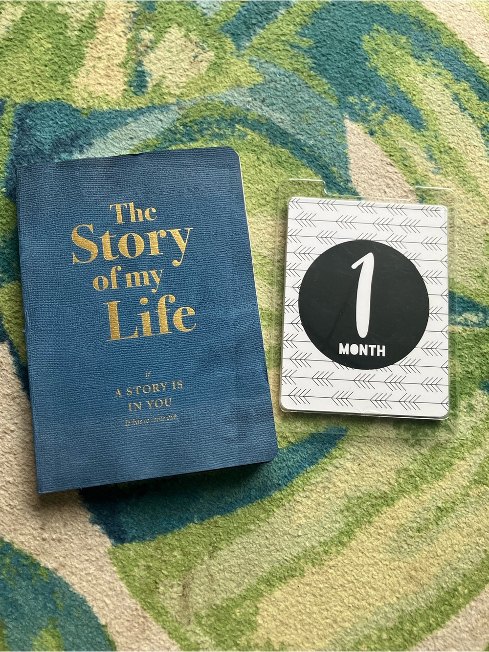 Life journal and newborn monthly cards